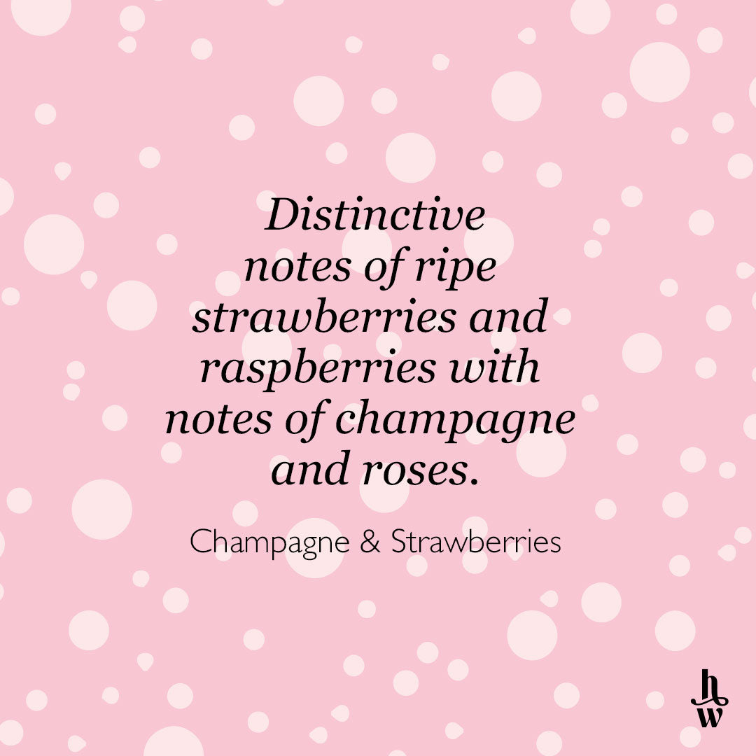 Honey Willow Champagne & Strawberries fragrance