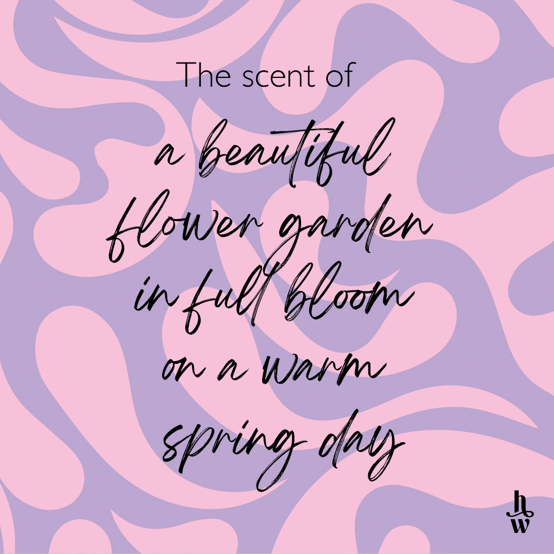 Honey Willow Sweet Pea & Jasmine fragrance