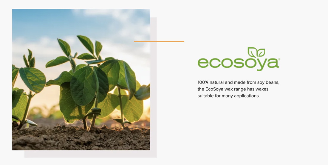 Why we use EcoSoya soy wax: A sustainable choice for our candles