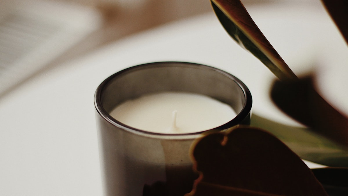 A soy candle in a glass jar beside a green leaf in soft natural light