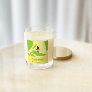 Honey Willow Splice of Paradise aurora candle, 180g eco-friendly home fragrance