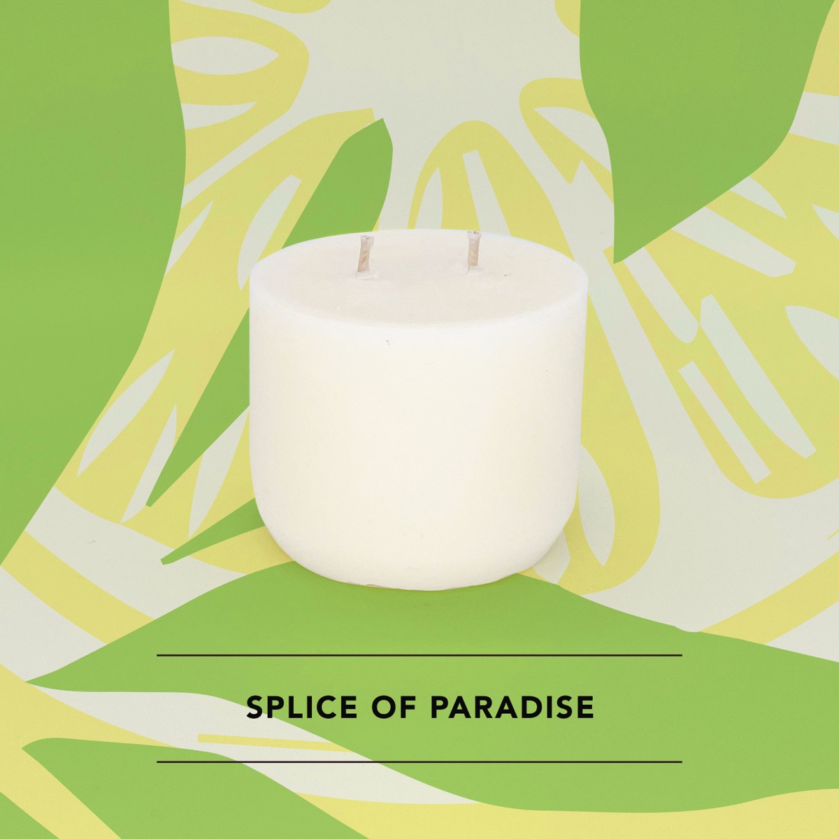Honey Willow Splice of Paradise soy candle in a white vessel against a green tropical leaf background