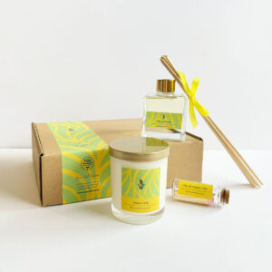 Honey Willow French Pear gift box, eco-friendly home fragrance