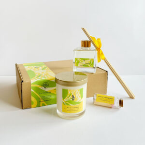 Honey Willow Splice of Paradise gift box, eco-friendly home fragrance